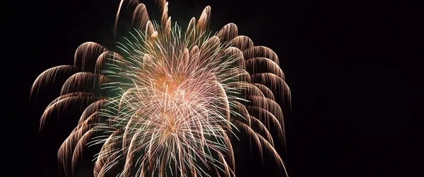 Neujahrsempfang